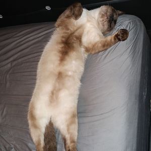 Meet your Posher, Neil